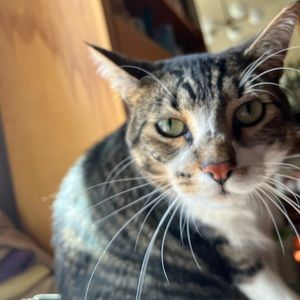 Meet your Posher, Esma